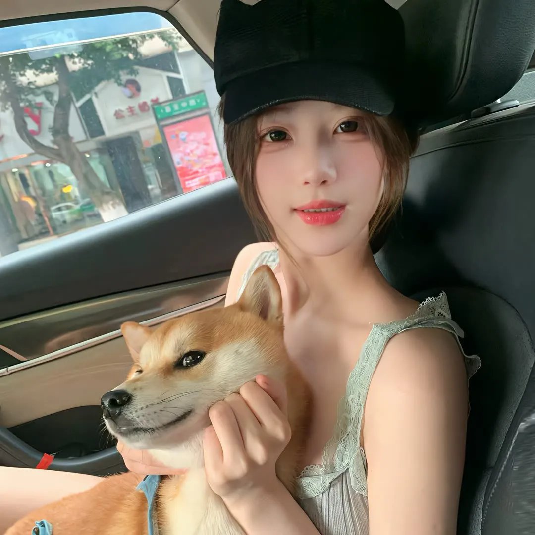 淑比狗和食尸鬼学校